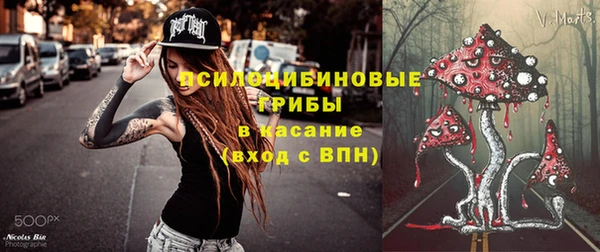стафф Богородск