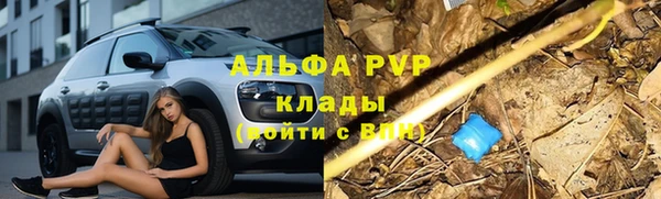 трава Богданович