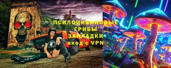 стафф Богородск